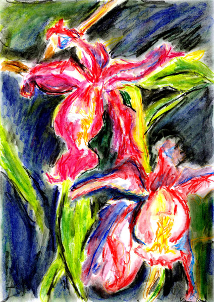 Lilien